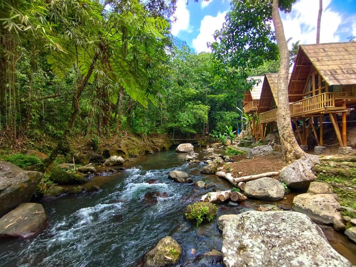 Aksha Riverside Ubud Tampaksiring 外观 照片